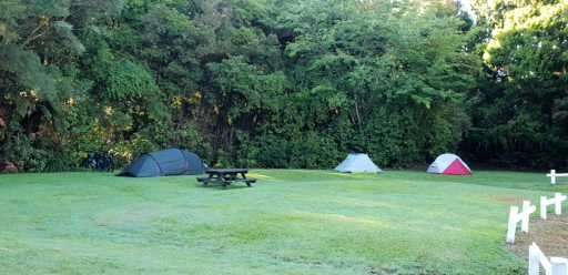 Accommodation tenting by bush